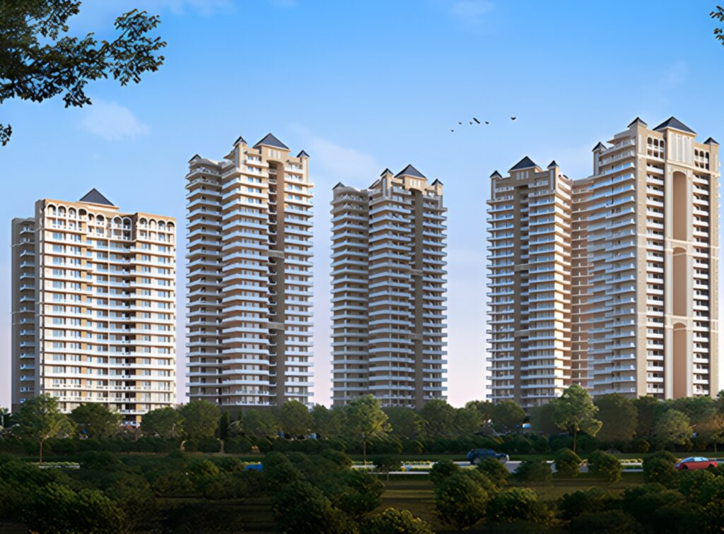 adora-buildings-view