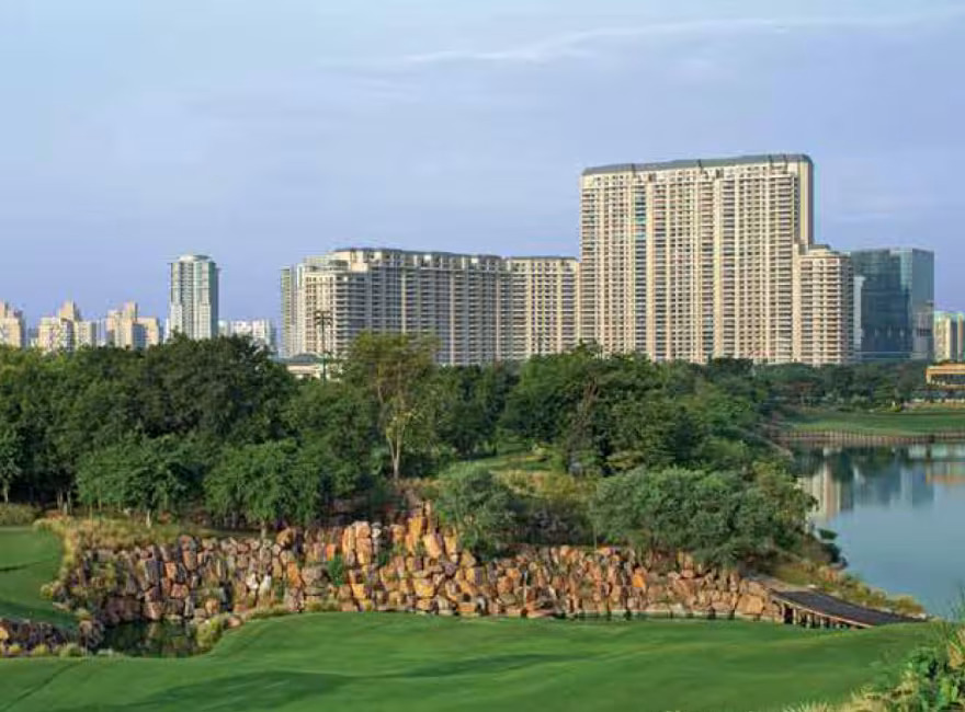 dlf-camellias-outside-view